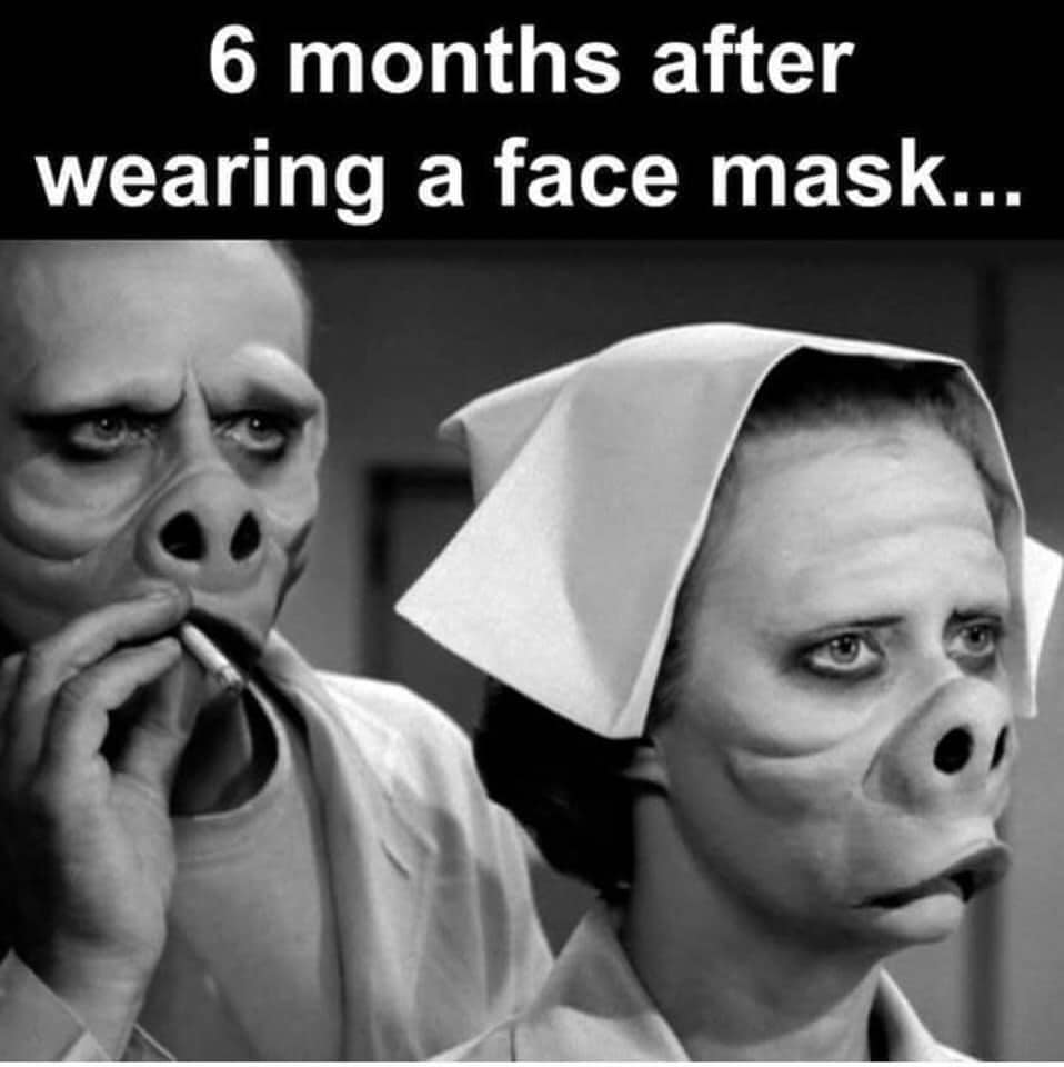 Break Time: Funny and Thought-Provoking Memes About Masks