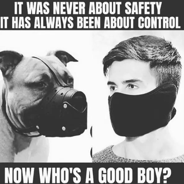 dogs and control